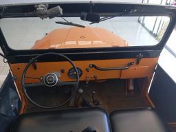 https://img.olx.com.br/thumbs256x256/41/411698169399476.jpg