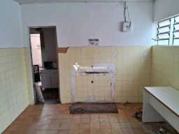 https://img.olx.com.br/thumbs256x256/41/412526284256825.jpg