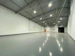 https://img.olx.com.br/thumbs256x256/41/412538282149428.jpg