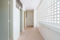 https://img.olx.com.br/thumbs256x256/41/412558045164477.jpg