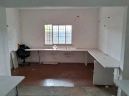 https://img.olx.com.br/thumbs256x256/41/412590165817847.jpg