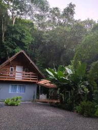 https://img.olx.com.br/thumbs256x256/41/413501611378597.jpg