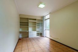 https://img.olx.com.br/thumbs256x256/41/413578644563355.jpg