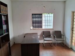https://img.olx.com.br/thumbs256x256/41/413598763701999.jpg