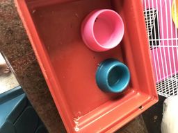 Gaiola para hamster completa