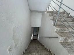 https://img.olx.com.br/thumbs256x256/41/414507641639644.jpg