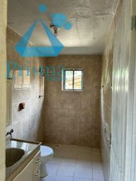 https://img.olx.com.br/thumbs256x256/41/415552289589429.jpg