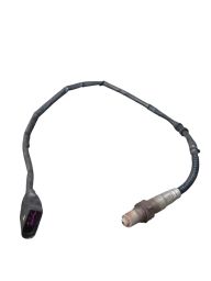 https://img.olx.com.br/thumbs256x256/41/415568164532765.jpg