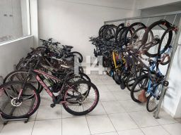 https://img.olx.com.br/thumbs256x256/41/415591392495921.jpg