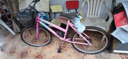 https://img.olx.com.br/thumbs256x256/41/416536759882054.jpg