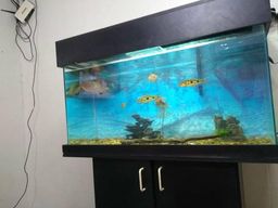 Aqu�rio completo
