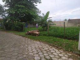 https://img.olx.com.br/thumbs256x256/41/417509408951579.jpg