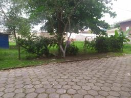 https://img.olx.com.br/thumbs256x256/41/417549401209535.jpg
