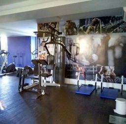 https://img.olx.com.br/thumbs256x256/41/418528769205668.jpg