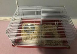 Gaiola para hamster