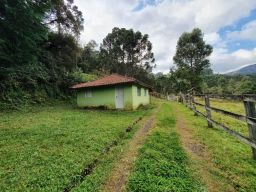 https://img.olx.com.br/thumbs256x256/41/419654435969930.jpg
