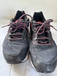 https://img.olx.com.br/thumbs256x256/42/420419176527952.jpg