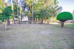 https://img.olx.com.br/thumbs256x256/42/420501168777459.jpg