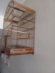 https://img.olx.com.br/thumbs256x256/42/420516648355725.jpg