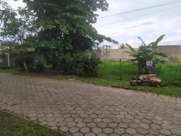 https://img.olx.com.br/thumbs256x256/42/420574764114272.jpg