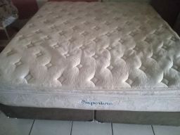 https://img.olx.com.br/thumbs256x256/42/421544524112803.jpg