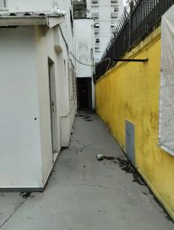 https://img.olx.com.br/thumbs256x256/42/422677412792526.jpg
