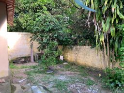 https://img.olx.com.br/thumbs256x256/42/423511495447170.jpg