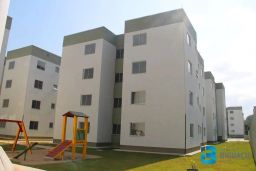 https://img.olx.com.br/thumbs256x256/42/423567403911350.jpg