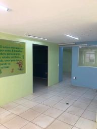 https://img.olx.com.br/thumbs256x256/42/423578395249520.jpg