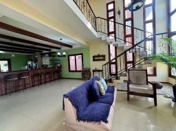 https://img.olx.com.br/thumbs256x256/42/423630800800944.jpg