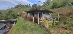 https://img.olx.com.br/thumbs256x256/42/423682328422186.jpg