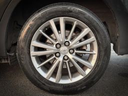 https://img.olx.com.br/thumbs256x256/42/424610314832530.jpg
