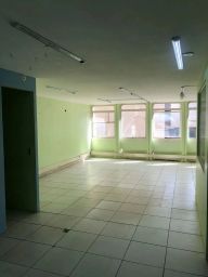 https://img.olx.com.br/thumbs256x256/42/425562156031347.jpg