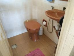 https://img.olx.com.br/thumbs256x256/42/425577878470067.jpg