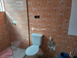 https://img.olx.com.br/thumbs256x256/42/426513646472545.jpg