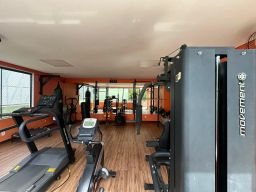 https://img.olx.com.br/thumbs256x256/42/426699440325258.jpg