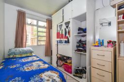 https://img.olx.com.br/thumbs256x256/42/427501281854517.jpg