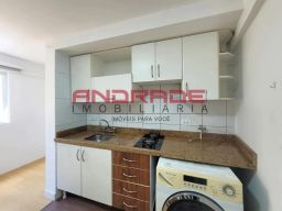 https://img.olx.com.br/thumbs256x256/42/427514640471855.jpg