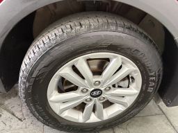 https://img.olx.com.br/thumbs256x256/42/427616167558709.jpg