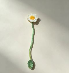 https://img.olx.com.br/thumbs256x256/42/427637431630629.jpg