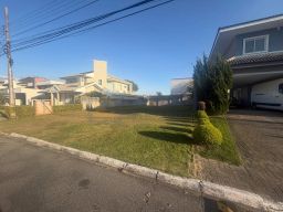 https://img.olx.com.br/thumbs256x256/42/427655325281723.jpg