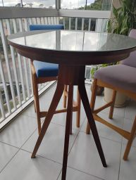 https://img.olx.com.br/thumbs256x256/42/428546039525601.jpg