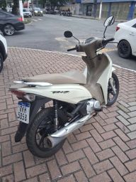https://img.olx.com.br/thumbs256x256/42/428657360608560.jpg