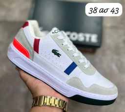 https://img.olx.com.br/thumbs256x256/42/429493242300571.jpg