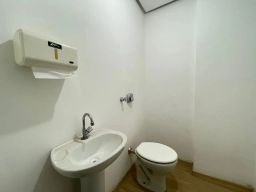 https://img.olx.com.br/thumbs256x256/43/430510402468518.jpg
