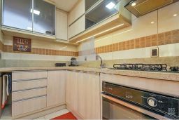 https://img.olx.com.br/thumbs256x256/43/430541885221153.jpg