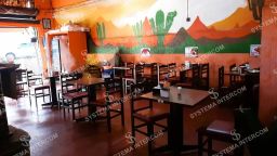 https://img.olx.com.br/thumbs256x256/43/430653920119517.jpg