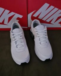 https://img.olx.com.br/thumbs256x256/43/431505769682361.jpg
