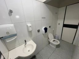 https://img.olx.com.br/thumbs256x256/43/432438871875869.jpg