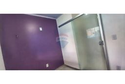 https://img.olx.com.br/thumbs256x256/43/432513169022446.jpg